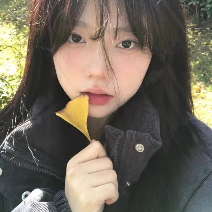歌舞团的女人们